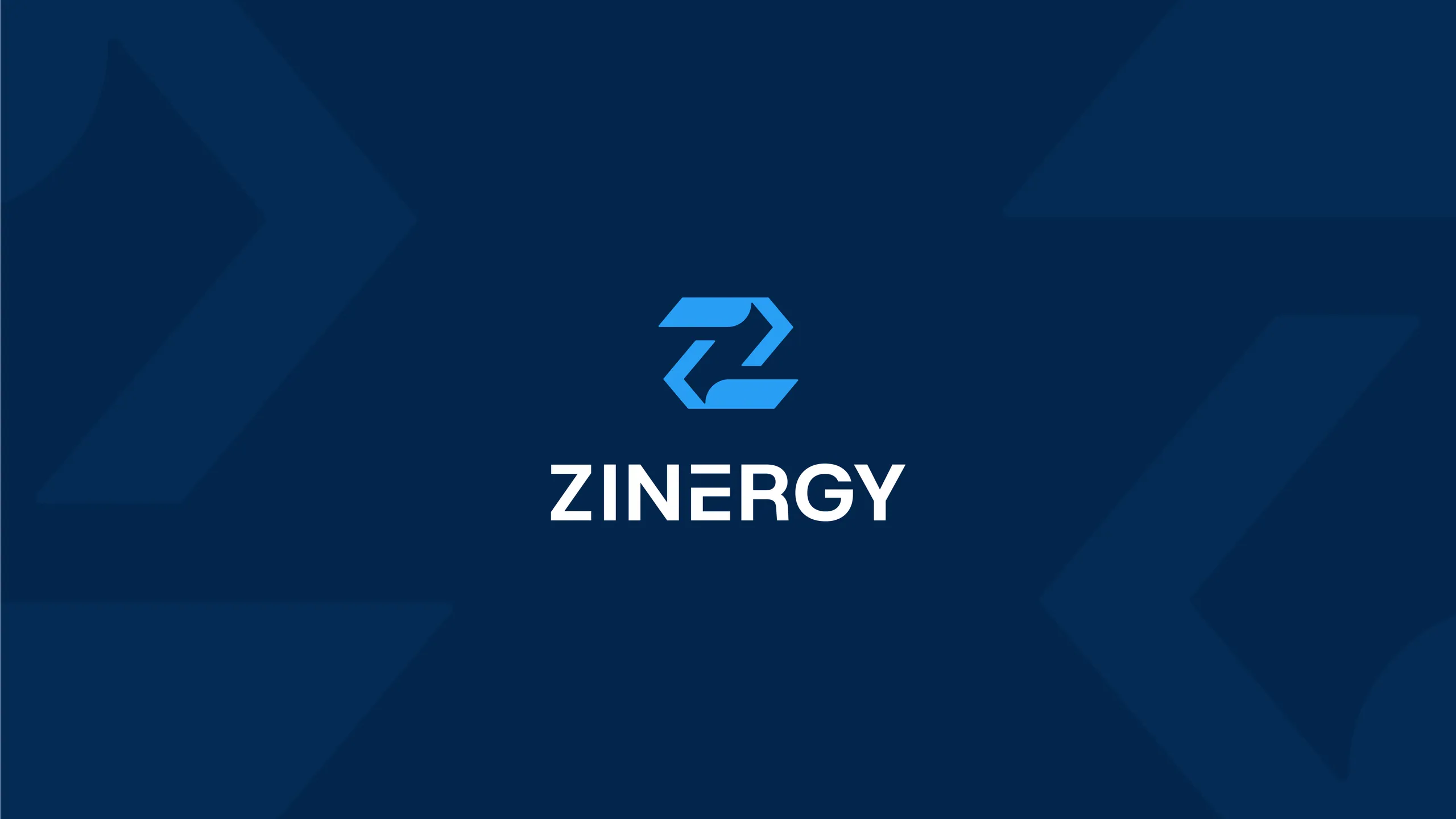 Zinergy brand identity 4